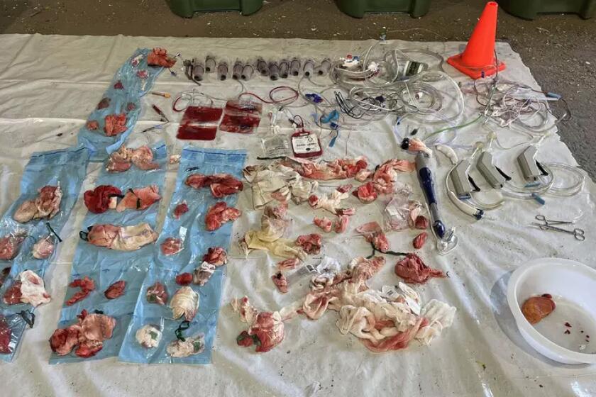 Illegally dumped trashing including blood, human tissue, and patient data found discarded by Santa Clara county hospitals.