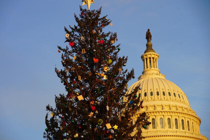 Washington D.C.-Nov. 29, 2022-The U.S. Capitol Christmas Tree lighting Ceremony at the west lawn of the Capitol Building in Washington DC, November 29, 2022. (Ian Grob/USDA Forest Service)