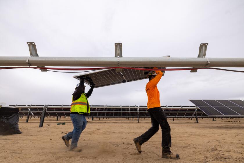 California City, CA - November 25: Workers install solar panels for the Los Angeles Department of Water and Power's biggest solar and battery storage plant, the Eland Solar and Storage Center in the Mojave Desert of Kern County on Monday, Nov. 25, 2024 near California City, CA. (Brian van der Brug / Los Angeles Times)