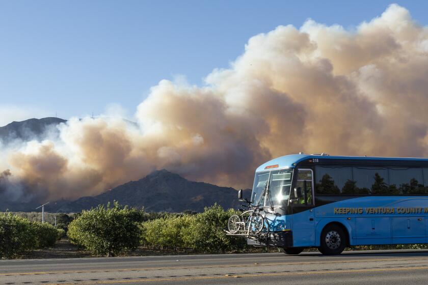 SANTA PAULA, CA - NOVEMBER 07: The Mountain Fire burns in the hilliside in Santa Paula, CA on Thursday, Nov. 7, 2024 as seen from State Route 126 in Santa Paula. (Myung J. Chun / Los Angeles Times)