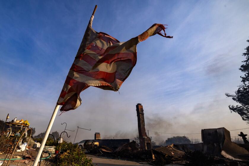 Camarillo, CA - November 06: Firefighter fight a Santa Ana wind-driven fire on Highland Dr. on Wednesday, Nov. 6, 2024 in Camarillo, CA. (Brian van der Brug / Los Angeles Times)