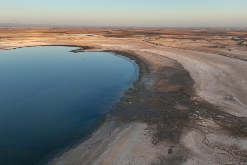 Imperial Valley, CA - September 24: An aerial view of the shrinking Salton Sea. Some are concerned that the Imperial Irrigation District's water-saving program is worsening the decline of the Salton Sea and contributing to lung-damaging dust. Photo taken Tuesday, Sept. 24, 2024. Many Imperial Valley farmers are voluntarily participating in a multimillion dollar Colorado River deal in which the federal government that is paying farmers in the Imperial Valley to leave their hay fields dry during part of the year in exchange for payments. The agreement has recently become controversial because the Sierra Club has sued the irrigation district, saying it has failed to address the effects of the water reduction on the shrinking Salton Sea, which is fed by farm runoff. The shrinking of the sea is leading to more dust in the area, which poses a health threat and has been linked to high asthma rates among children in the area. Some residents are concerned about the shrinking of the Salton Sea. (Allen J. Schaben / Los Angeles Times)