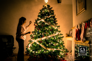 LA Times Today: Why the Forest Service is encouraging people to cut Christmas trees on public lands (with permits)