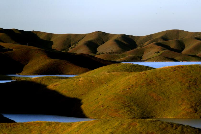 San Luis Resevoir, CA - April 16: Water fills the coves along the shores of the San Luis Reservoir near Los Banos. A series of heavy rainstorms this winter has replenished the reservoir, which stores water from the San Joaquin-Sacramento River Delta. It is a key water supply for millions of Californians from Silicon Valley to San Diego, and has risen 144 feet since 2022 . It is presently almost at full capacity. (Luis Sinco / Los Angeles Times)